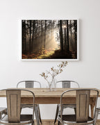 Sonnenstrahlen im Wald