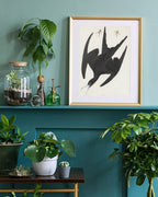 John James Audubon - Schwarzer Vogel im Sturzflug