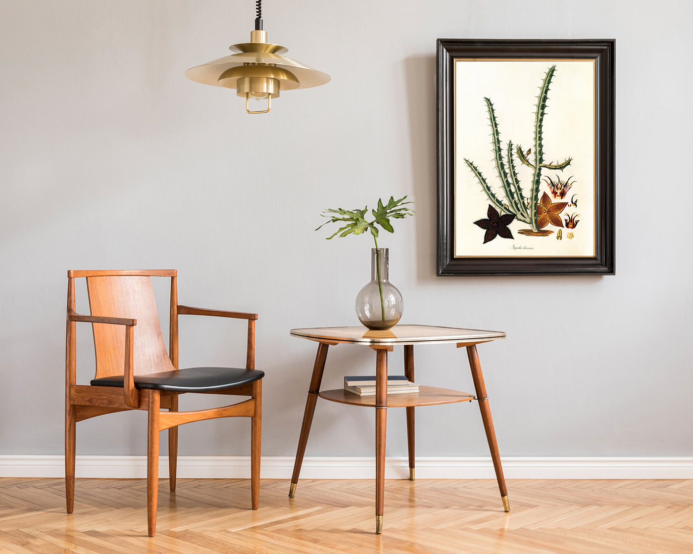 Stapelia Hircosa - Stapelien in Sternform