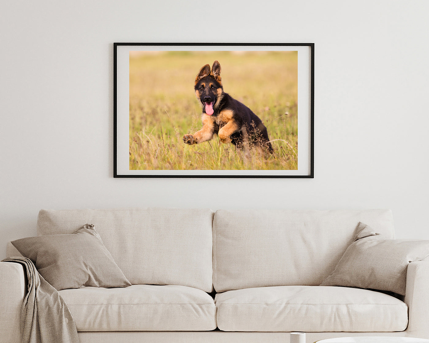 Süßer Schäferhund-Welpe