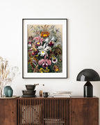 Ernst Haeckel - Blumen