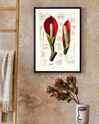 Blüte mit Blütenstil - Eine Analyse