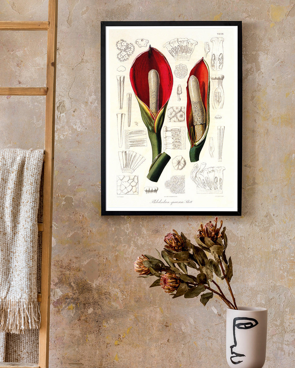 Blüte mit Blütenstil - Eine Analyse