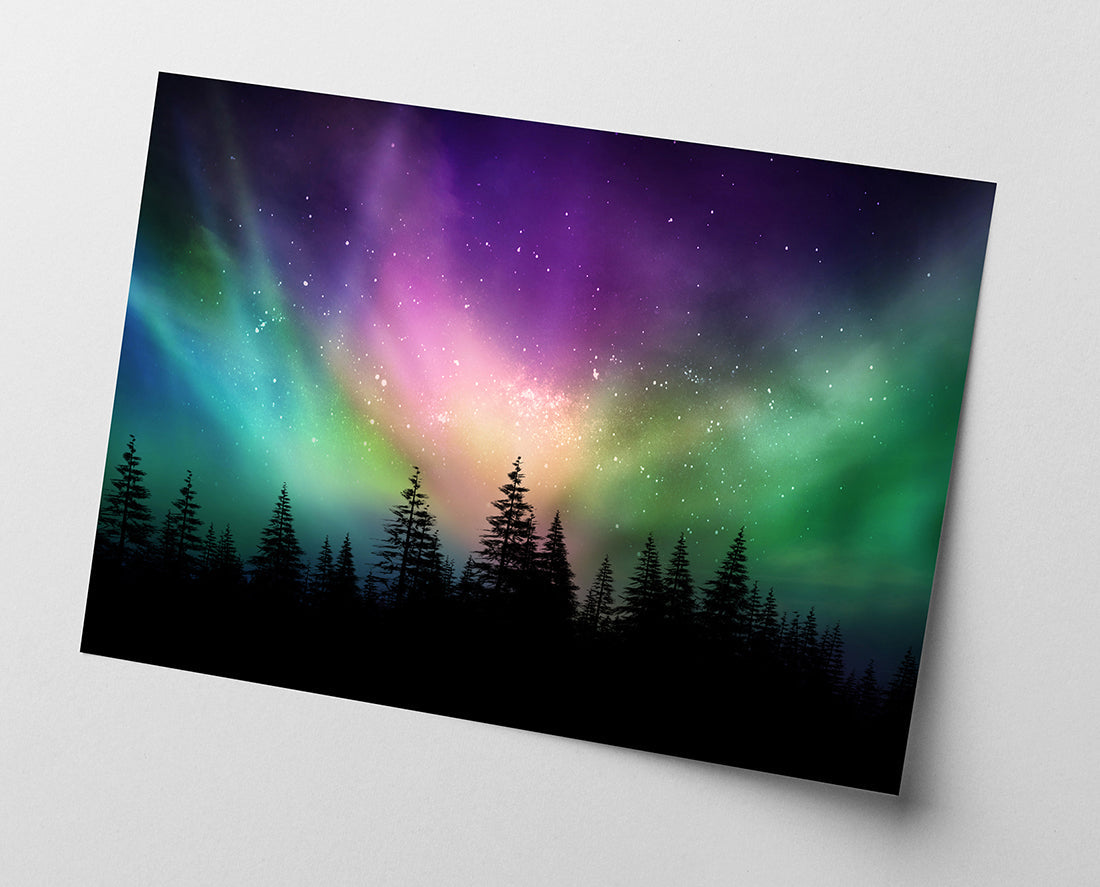 Polarlichter über Waldkronen