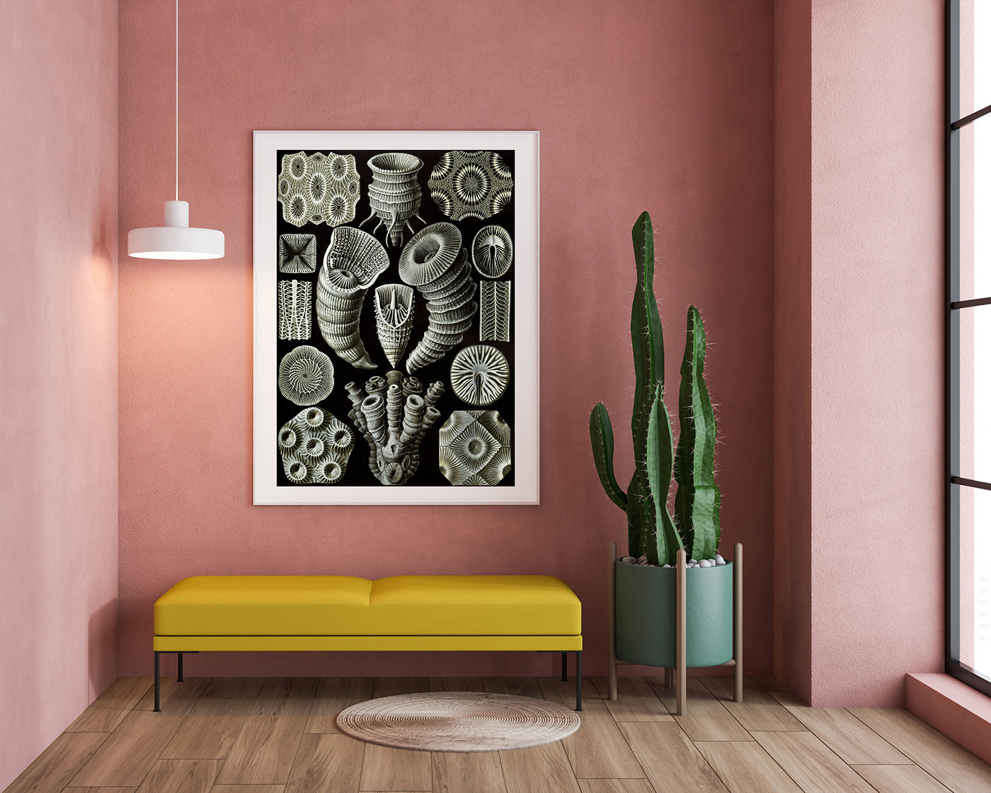 Ernst Haeckel - Kunstformen des Meeres