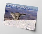 Rennender Schneeleopard