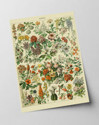 Adolphe Philippe Millot - Vintage Blumen-Übersicht