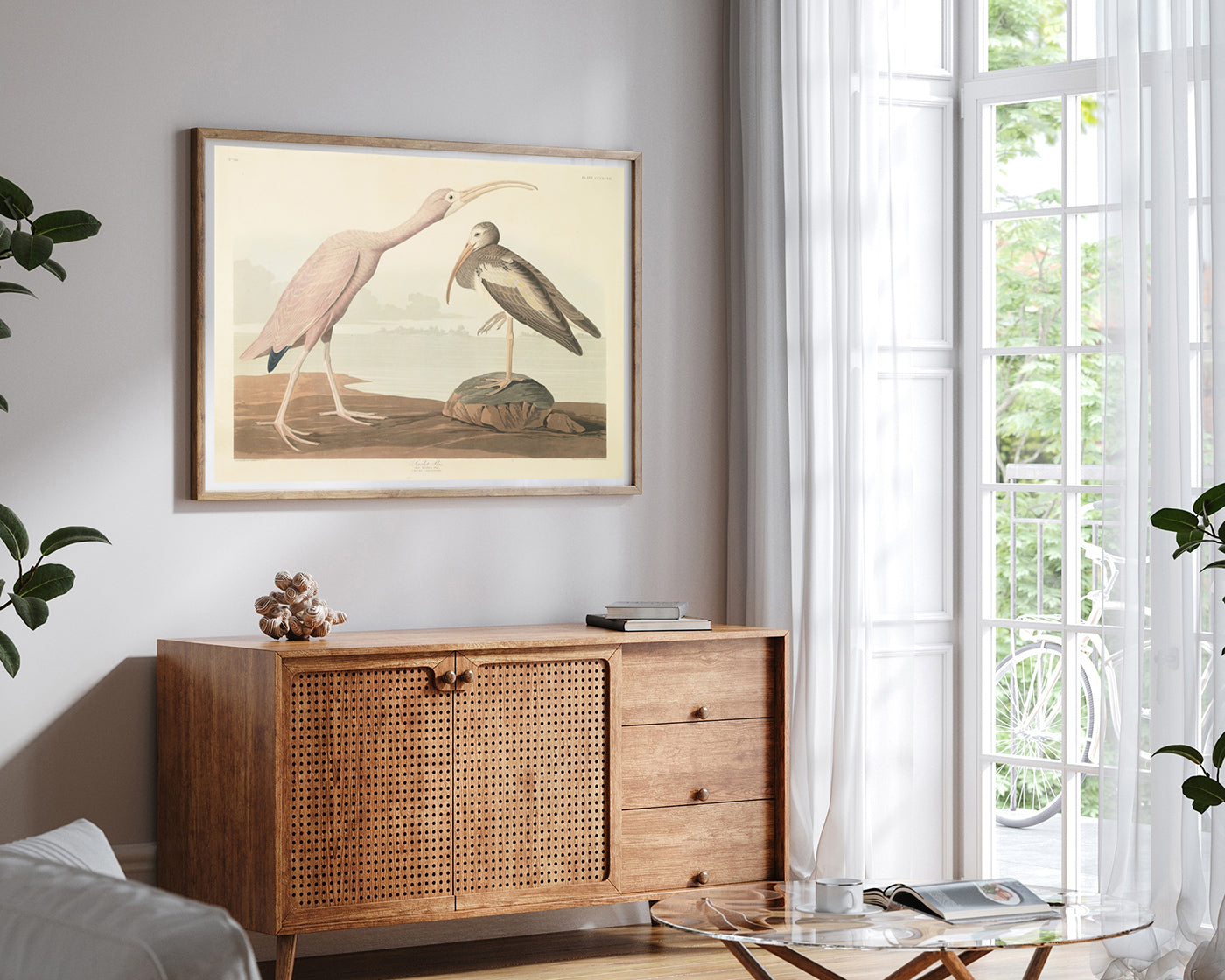 John James Audubon - Zwei Wasservögel