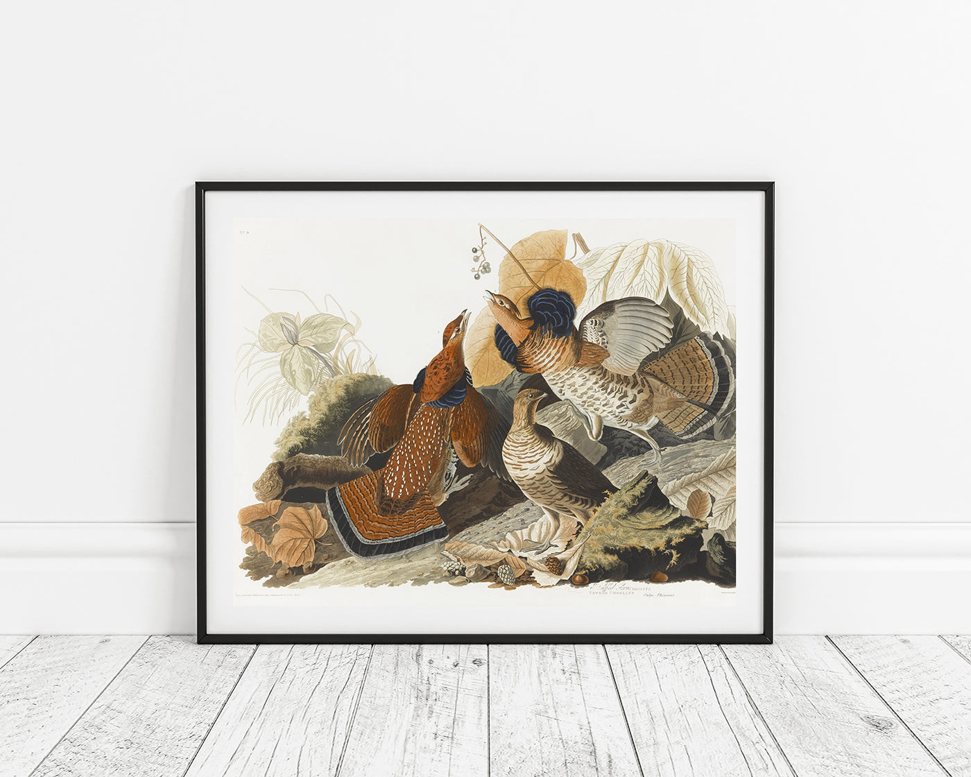 John James Audubon - Rebhühner auf Nahrungssuche