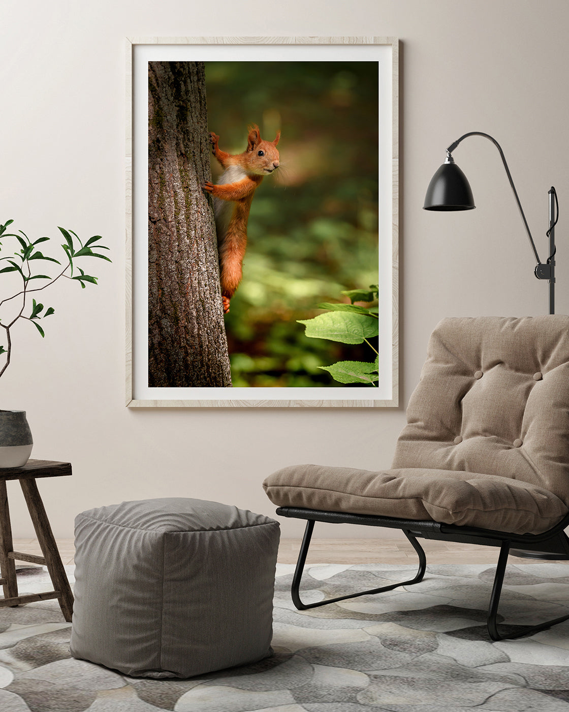 Eichhörnchen am Baum