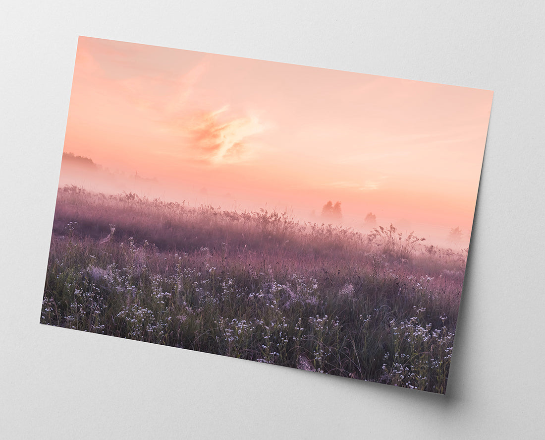 Romantische Blumenwiese