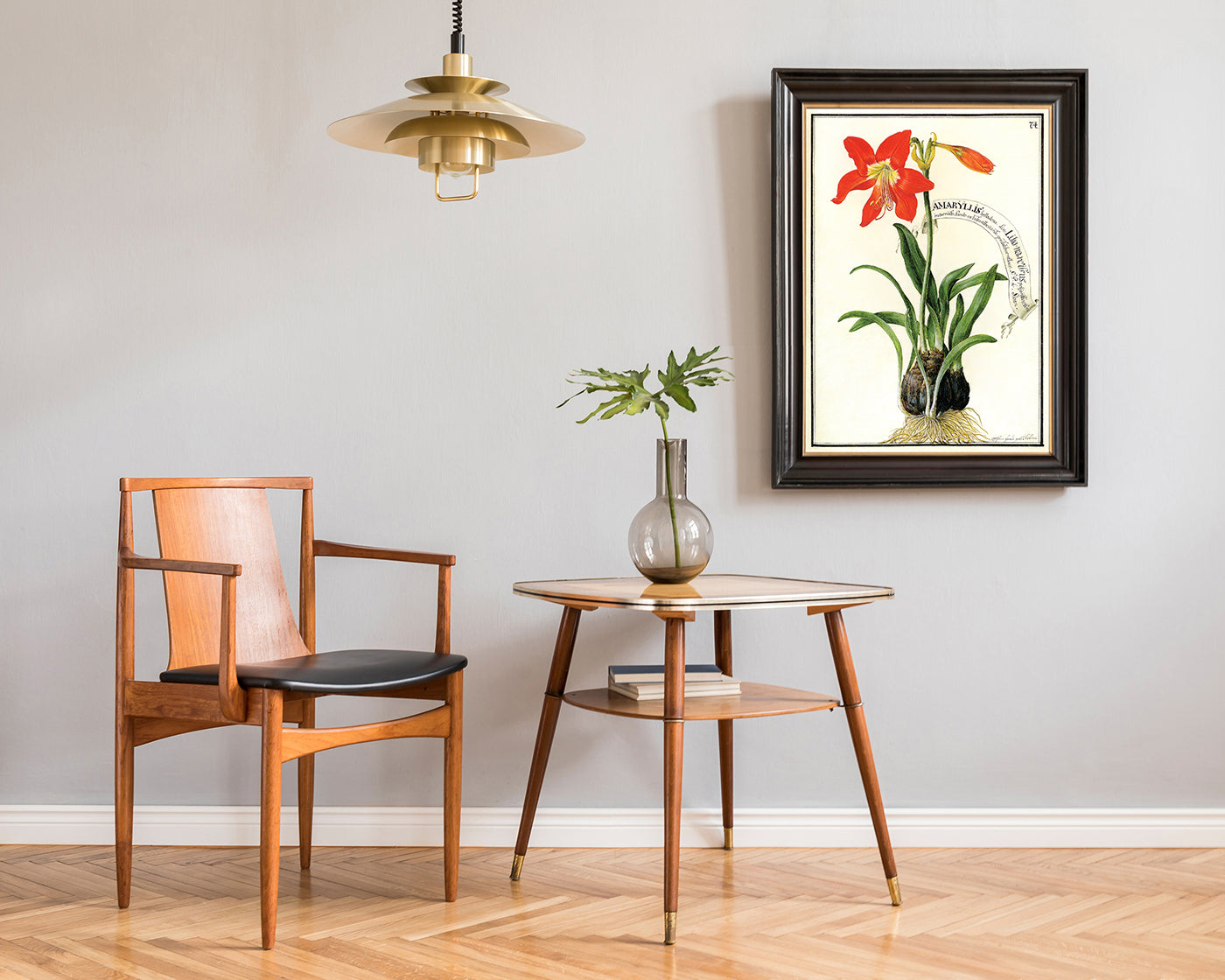 Amaryllis - Rote Belladonnalilie