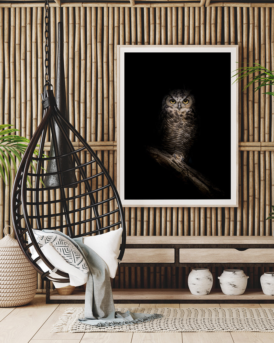 Eule auf schwarzem Hintergrund