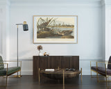 John James Audubon - Enten am Teich