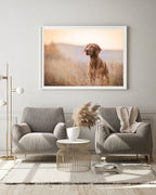 Jagdhund in der Natur