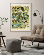 Adolphe Philippe Millot - Vogelarten