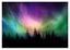 Polarlichter über Waldkronen