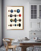 Pflaumenarten - Zwetschgen