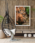 Karakal-Katze mit Baby