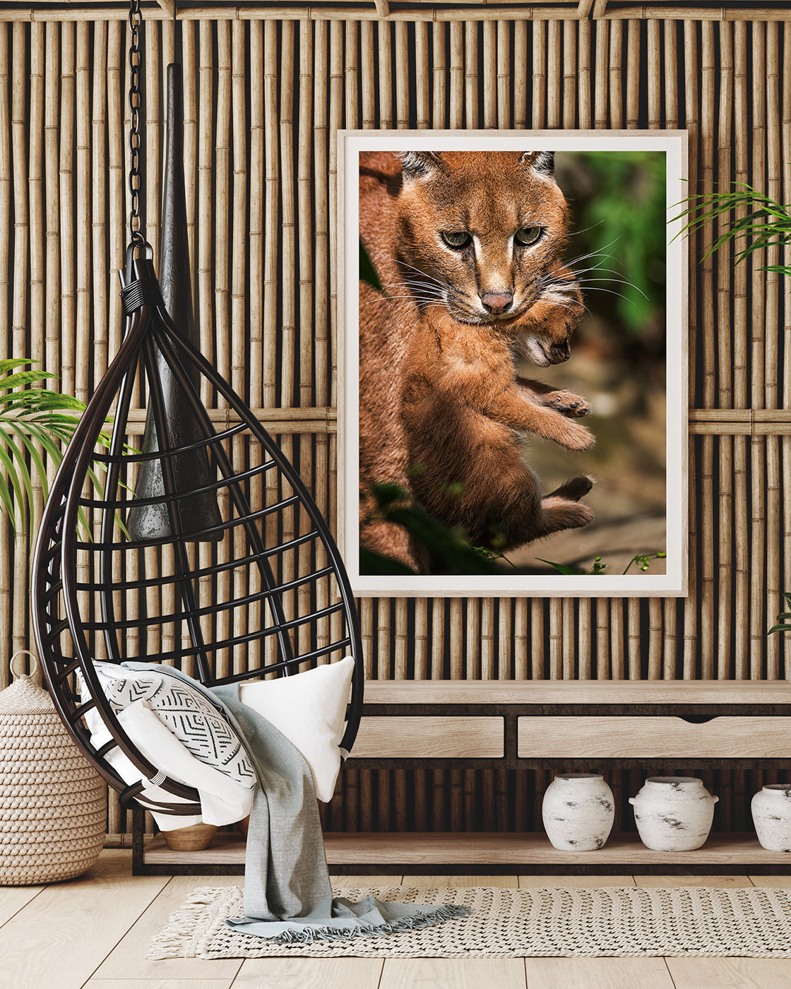 Karakal-Katze mit Baby