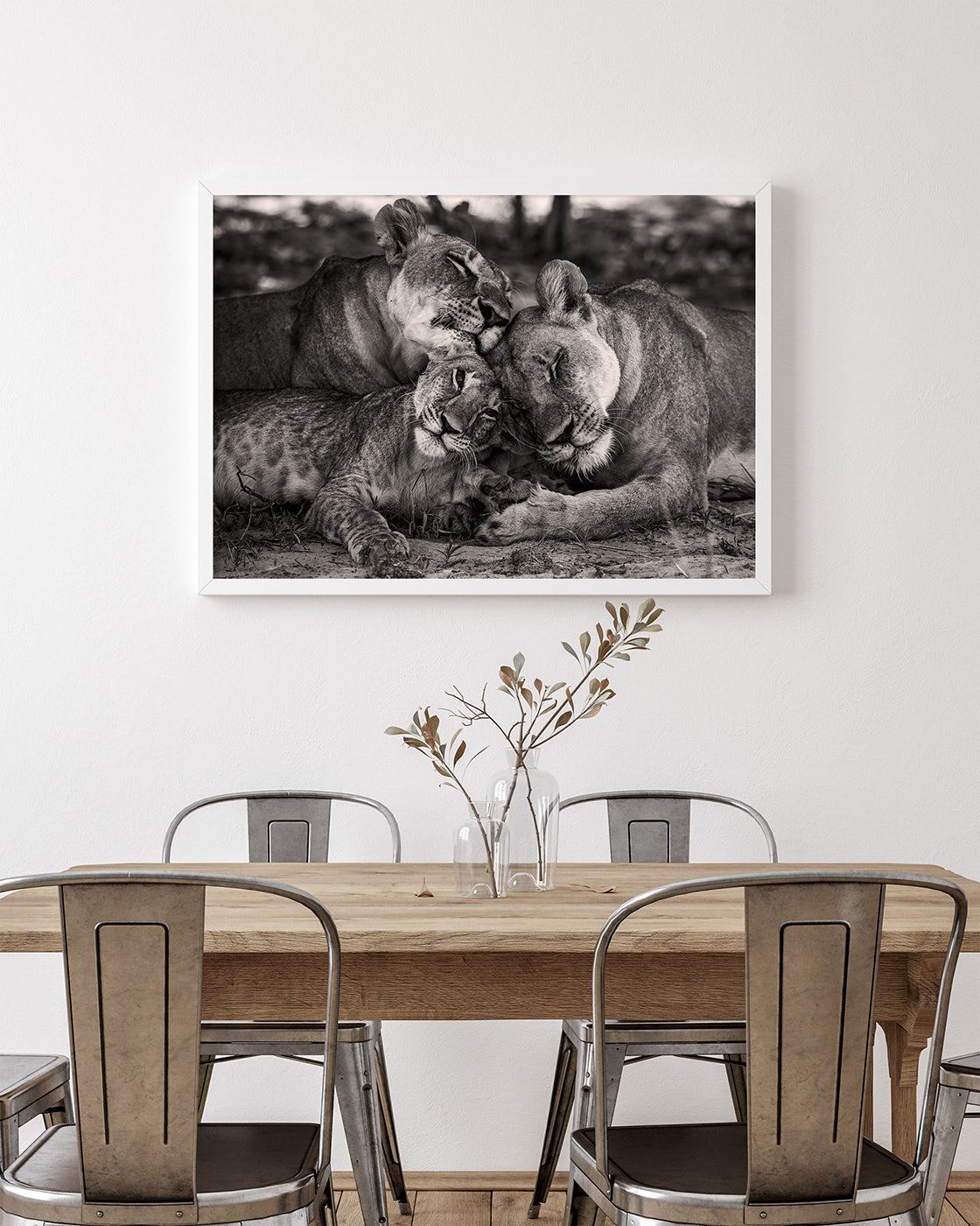 Kuschelnde Löwen in Schwarz-Weiß