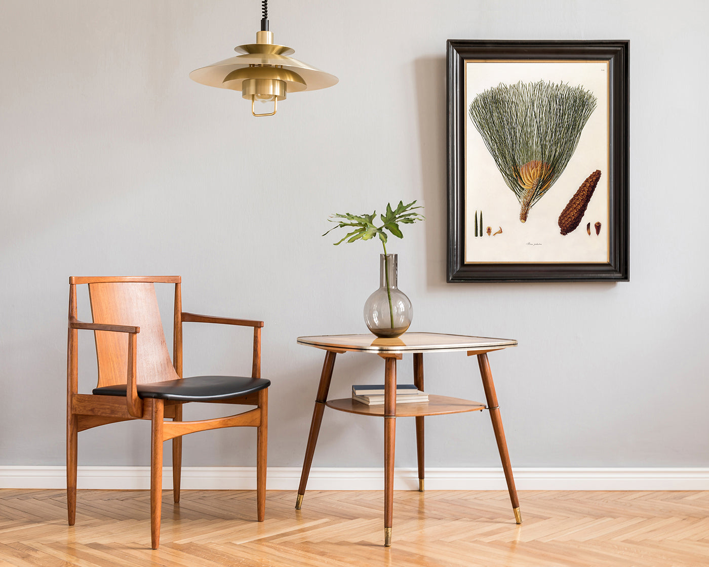 Pinus Palustris - Sumpf-Kiefer mit Zapfen