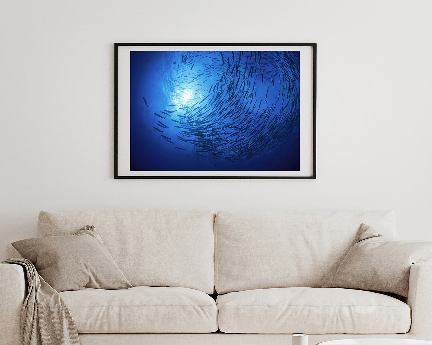 Fischschwarm im Ozean