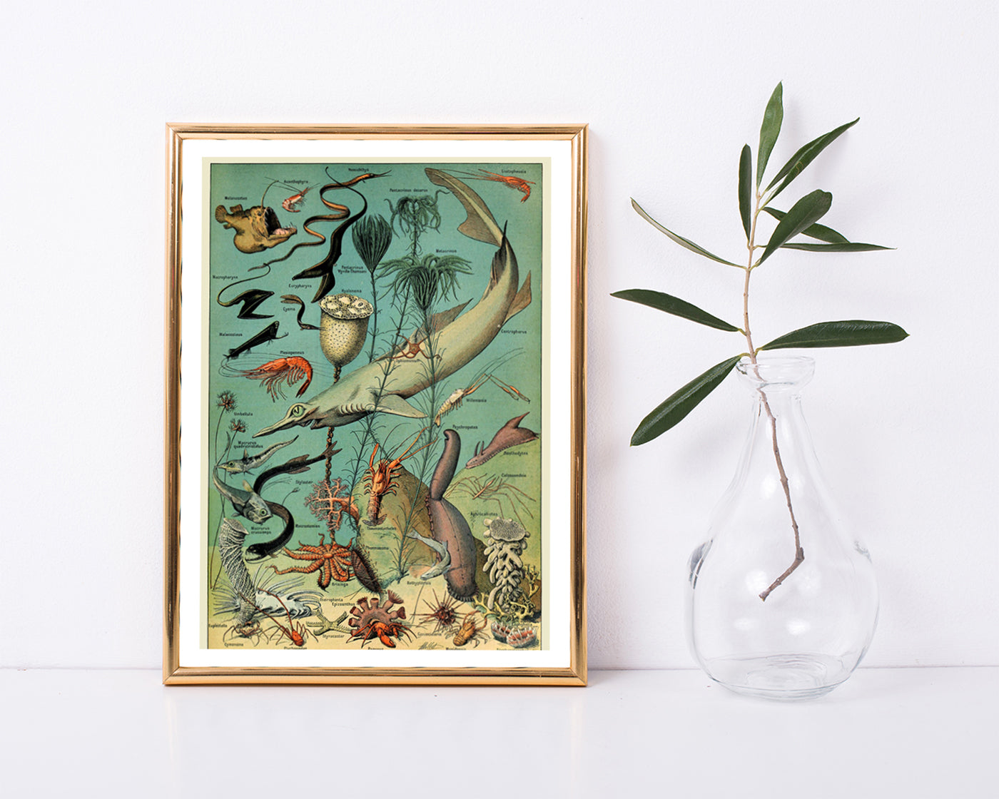 Adolphe Philippe Millot - Unterwasserwelt I