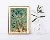 Adolphe Philippe Millot - Unterwasserwelt I