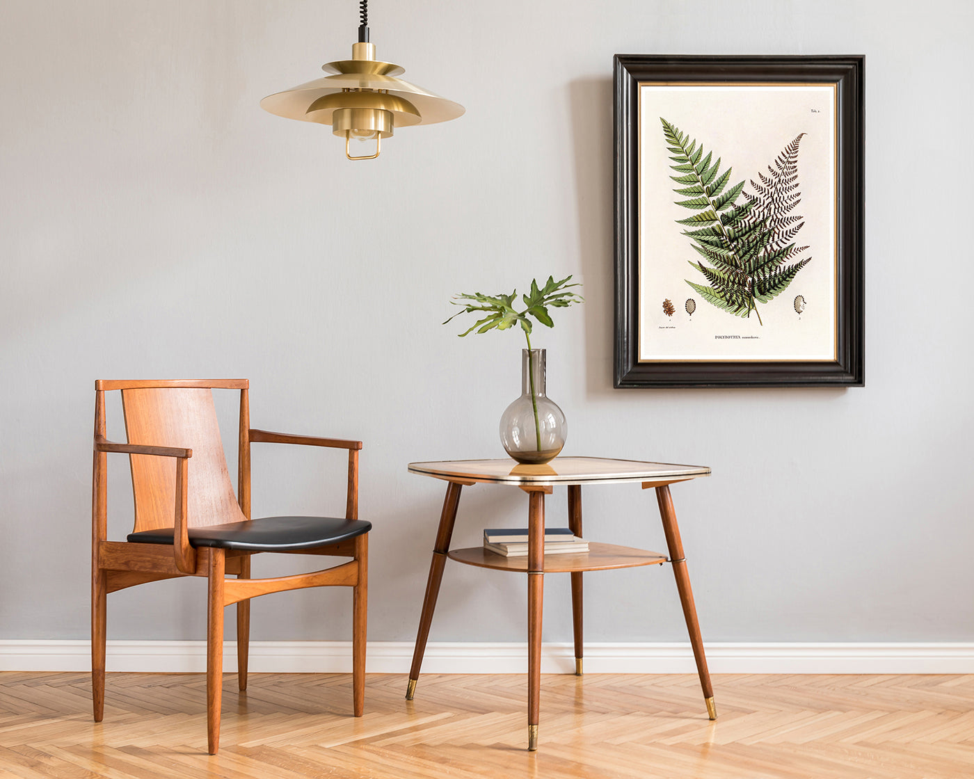 Polybotrya Osmundaceae - Zierpfeffer