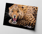 Fauchender Leopard