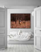 Hirsch in Abendstimmung