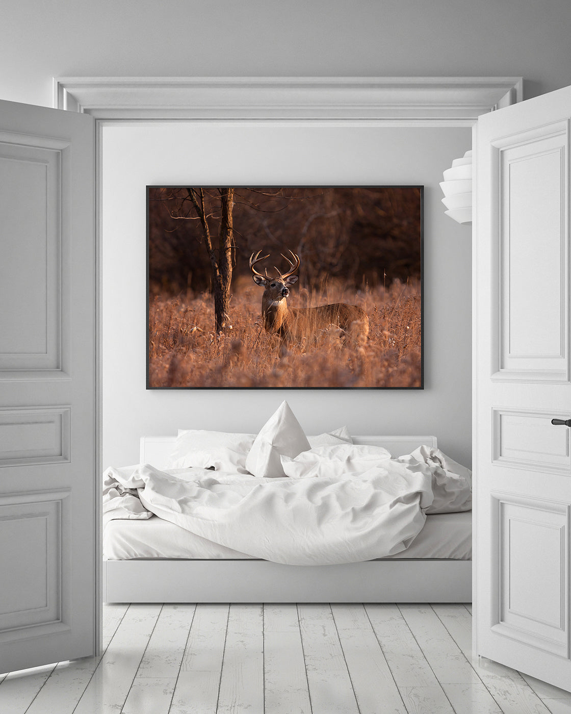 Hirsch in Abendstimmung