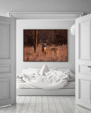 Hirsch in Abendstimmung