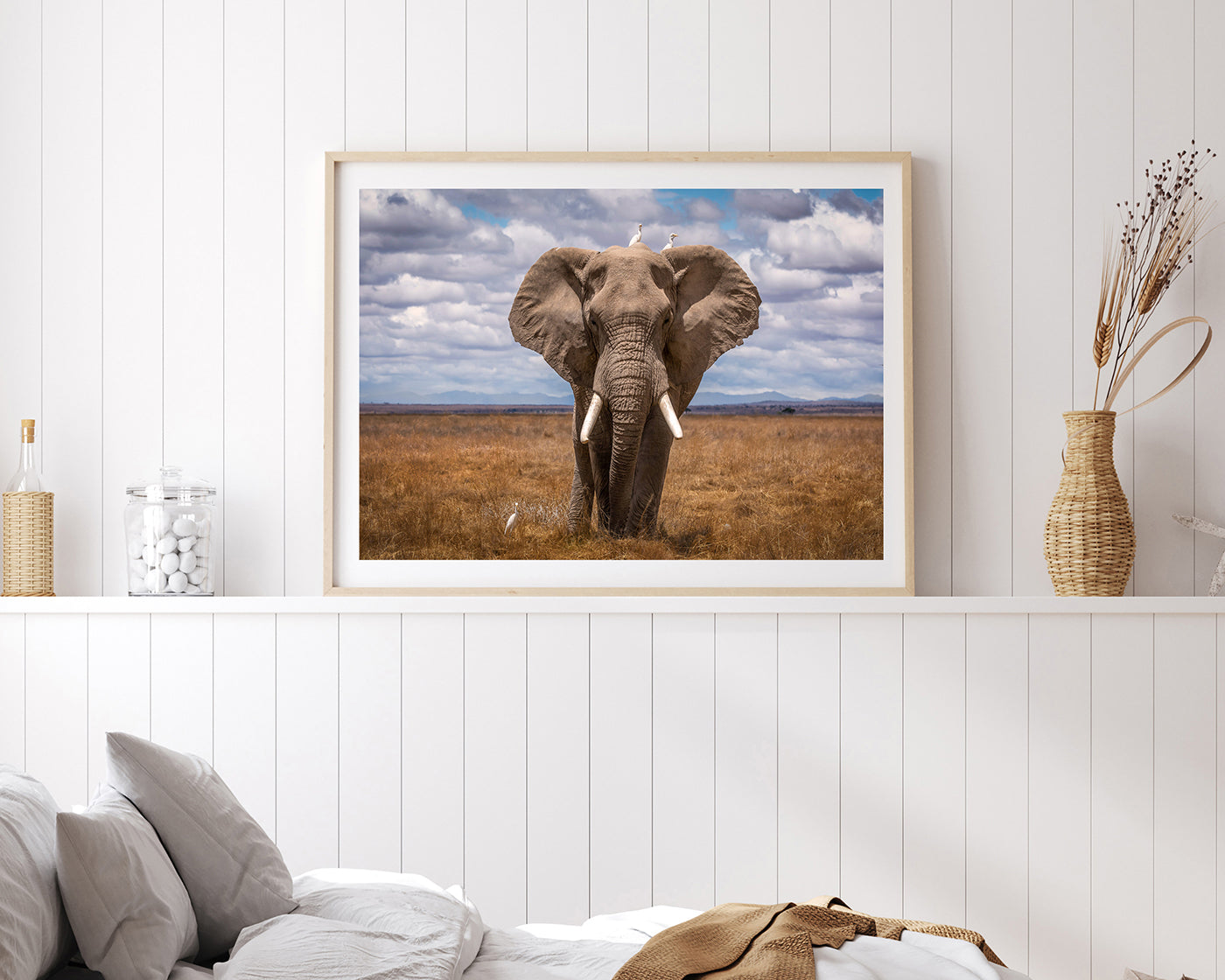 Afrikanischer Elefant