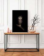 Eule auf schwarzem Hintergrund