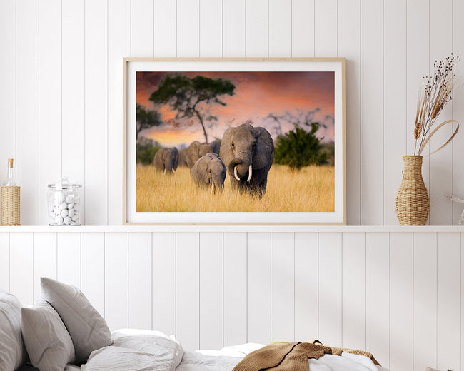 Elefanten-Familie Main Image