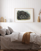 John James Audubon - Zwei Schwarzbären