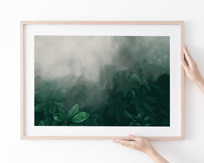 Pflanzen im Nebel Main Image