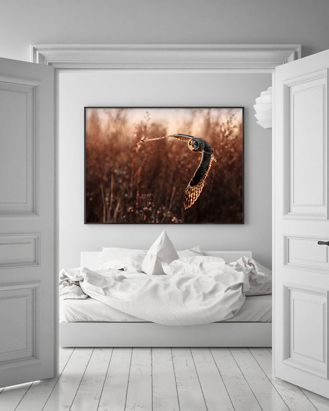 Fliegende Eule Main Image