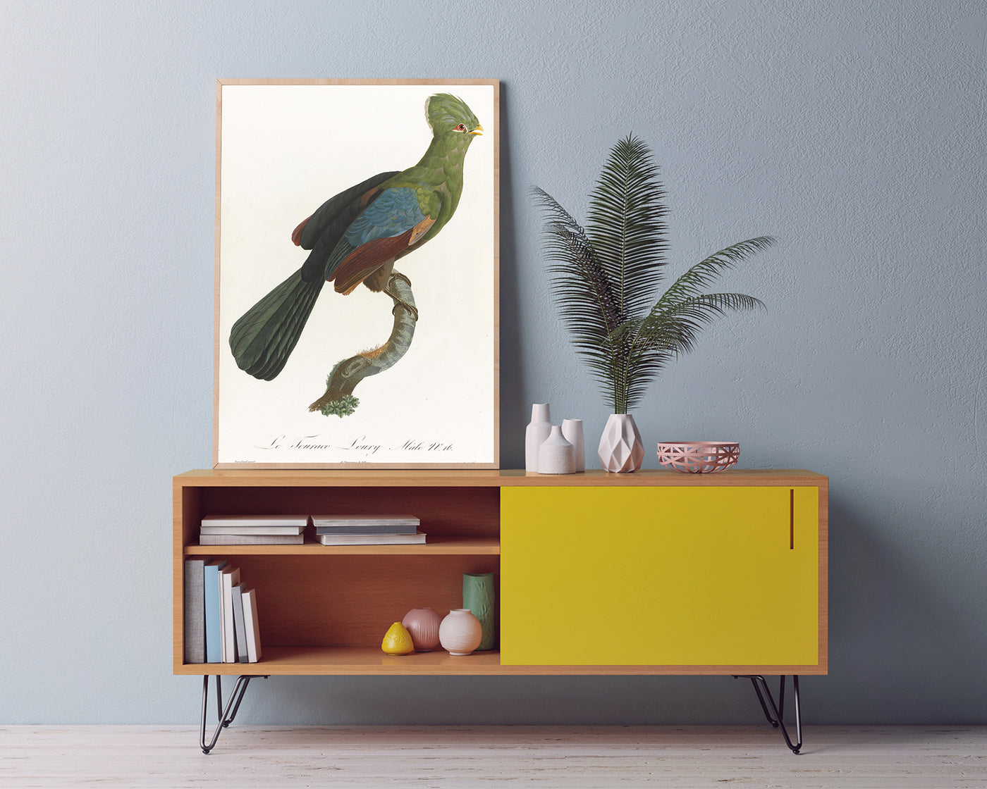 François Levaillant - Grüner Paradiesvogel