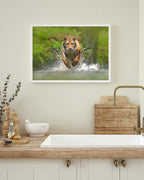 Rennender Tiger im Wasser