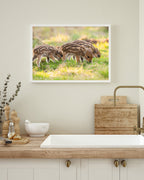 Wildschwein Frischlinge