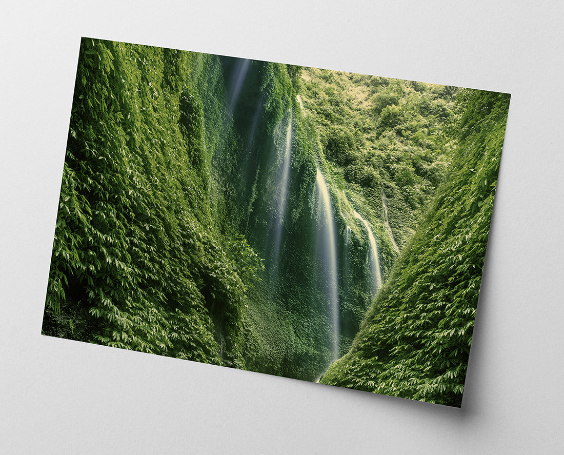 Wasserfälle im Regenwald