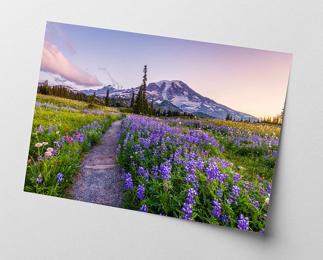 Blumenwiese in Bergsee-Landschaft Main Image