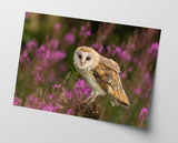 Eule in Blumenlandschaft