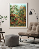 Ernst Haeckel - Botanik