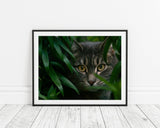 Katze zwischen Blättern