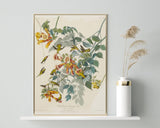 John James Audubon - Kolibris auf Nektarsuche