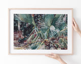 John Singer Sargent - Palmetten